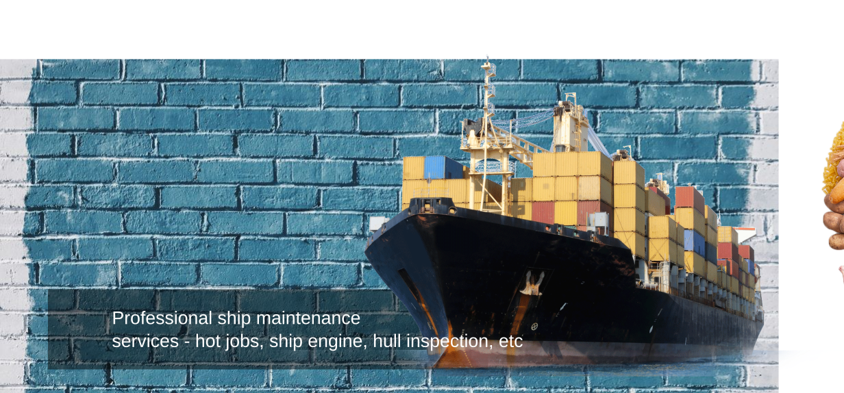 Professional ship maintenance